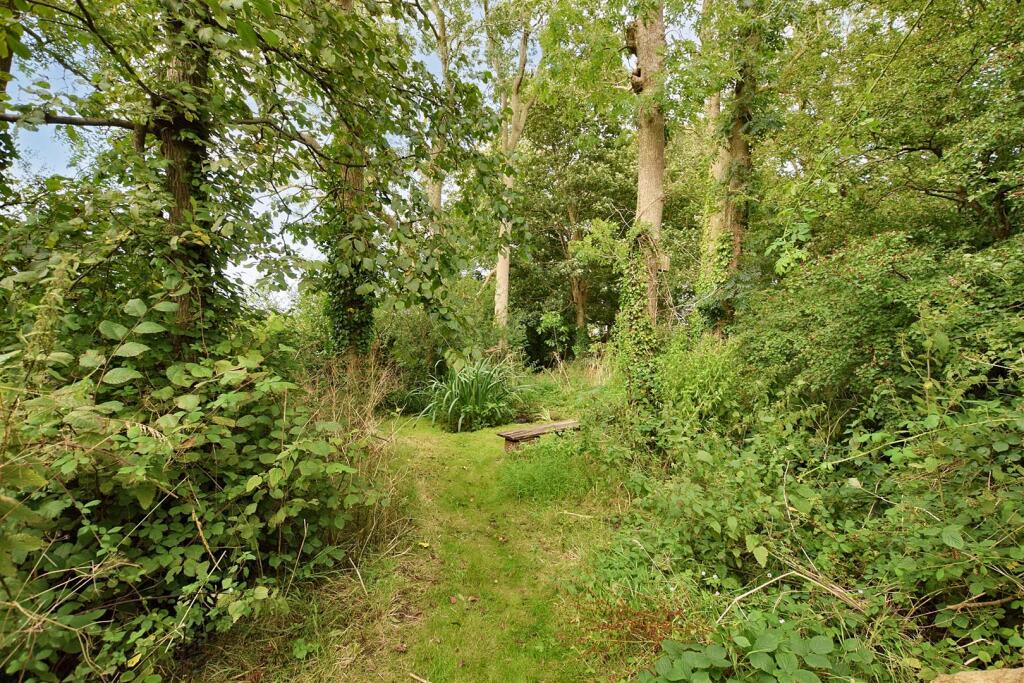 Woodland