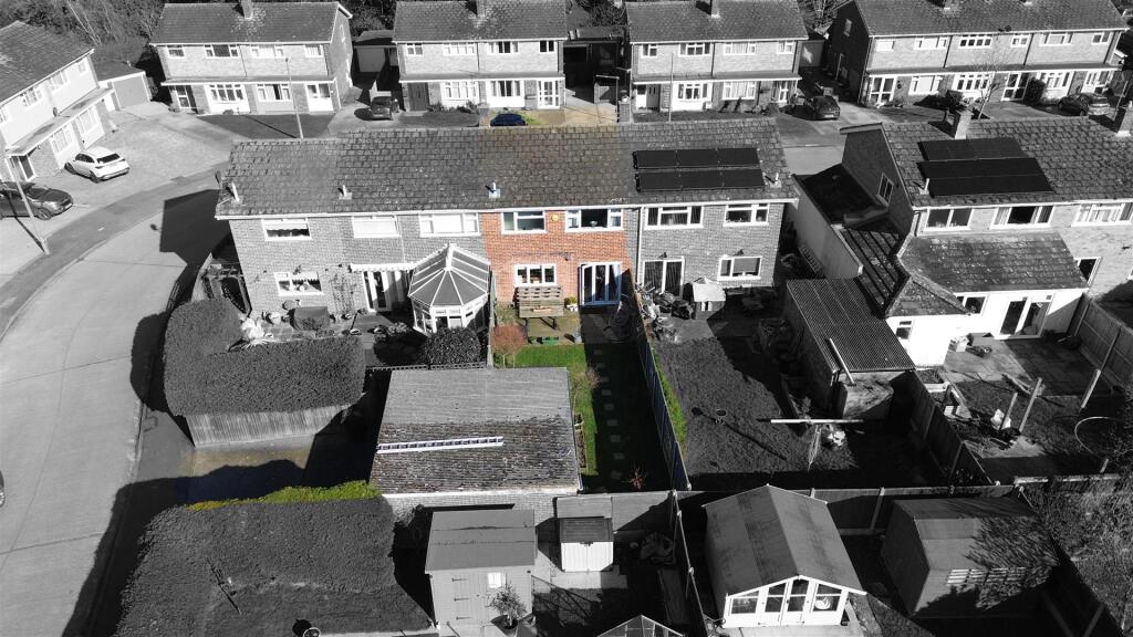 Rear Garden colourpop.JPG