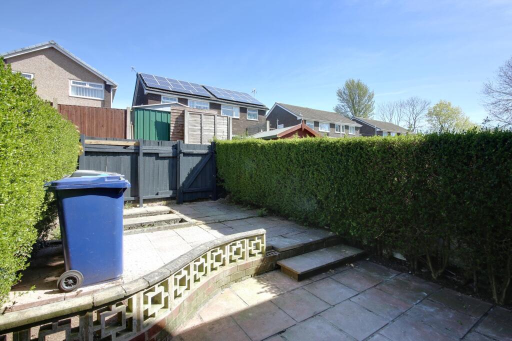 Back garden