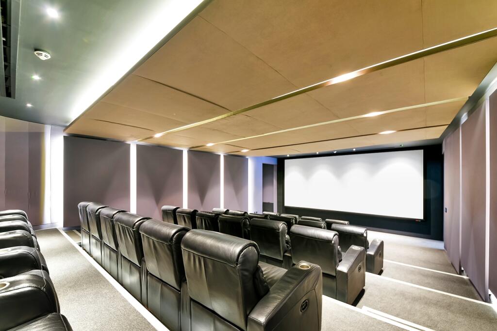 Cinema Room Goodman&#39;