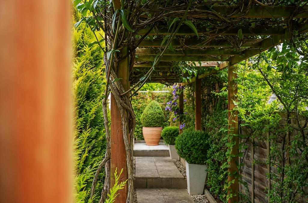 667d41539326a-l-1149132 (21)