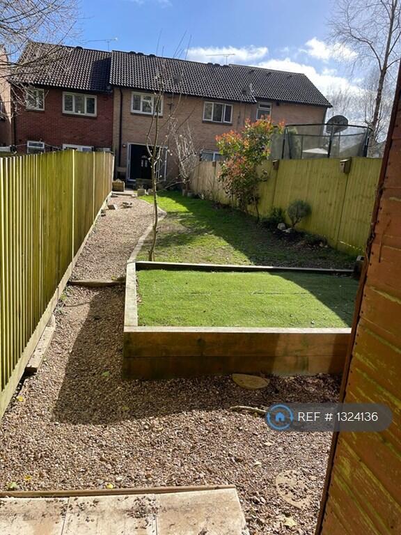 Back Garden