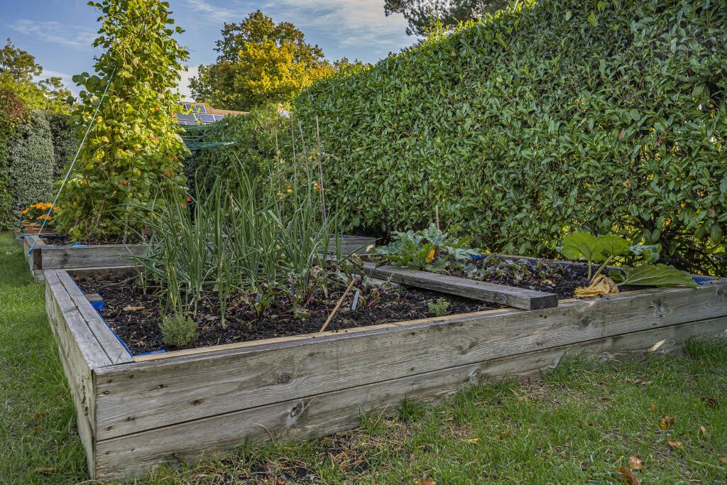Vegetable garden