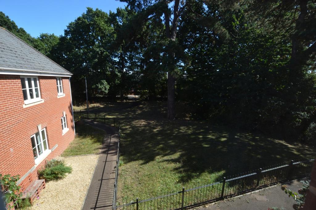 Outlook To Rear