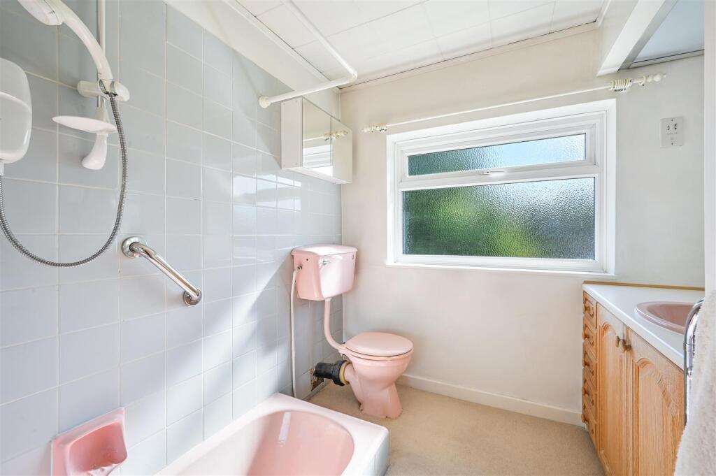 ROSE BUSHES, 15- (13).jpg