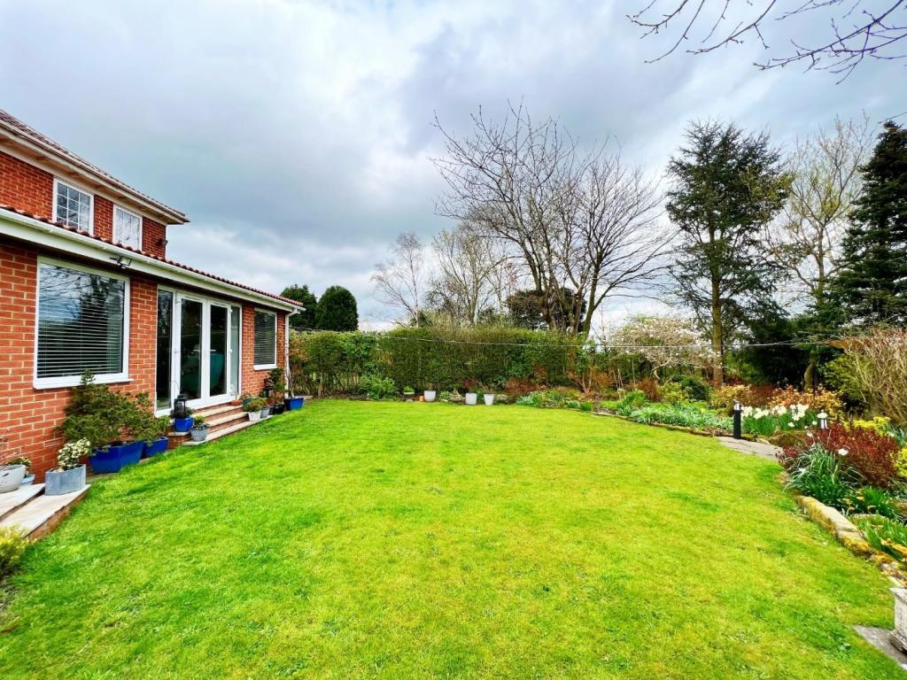 Garden 5.jpg