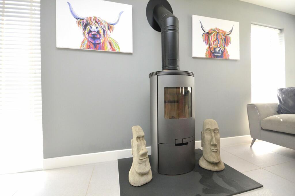 Log Burner