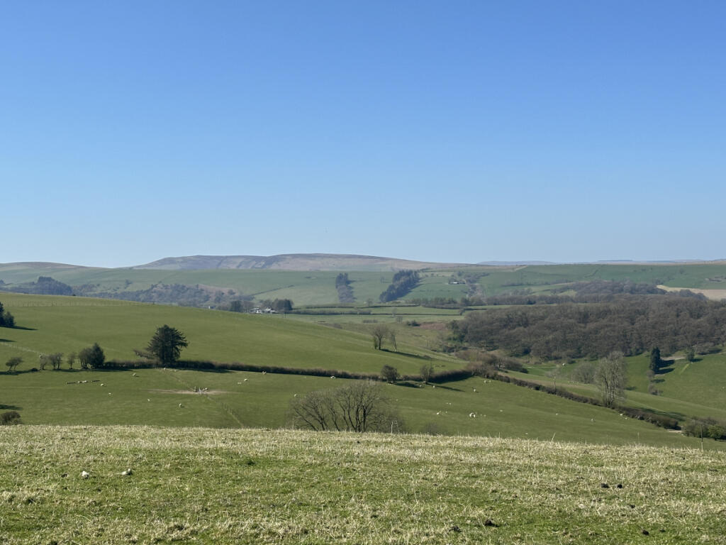 Highly Desirable Stock Farm in the Teme Valley