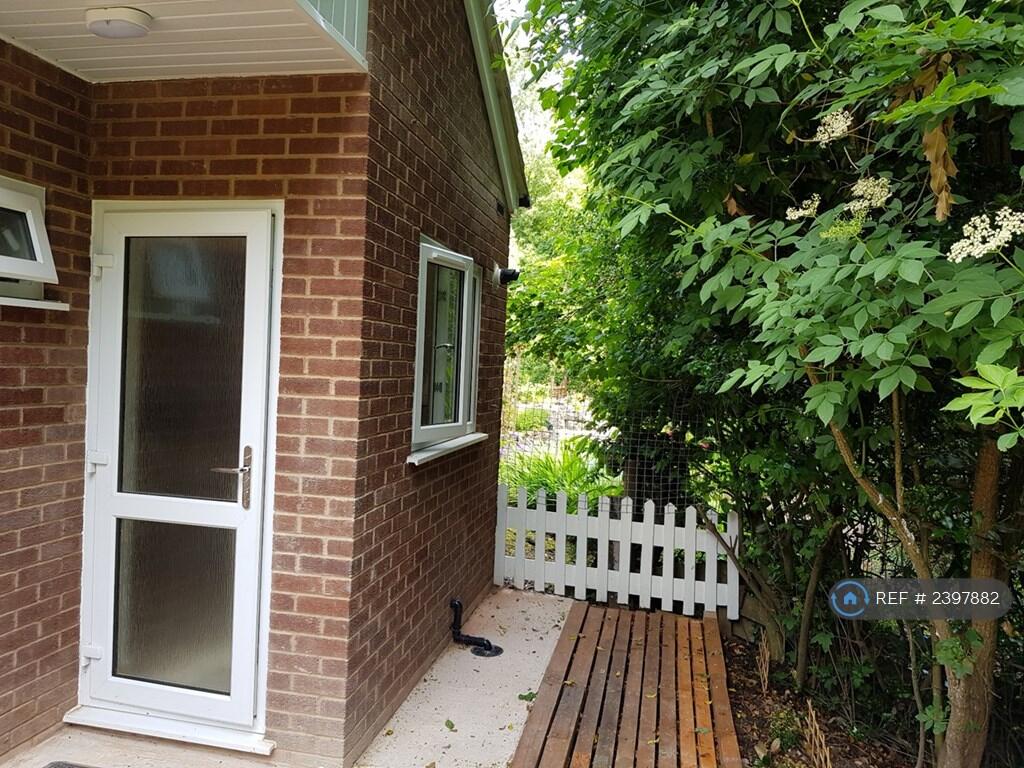 Rear Exit 