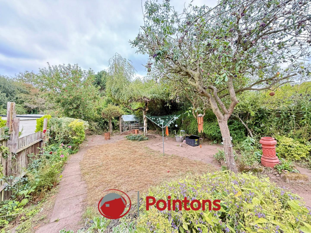 Logo image  (17).png