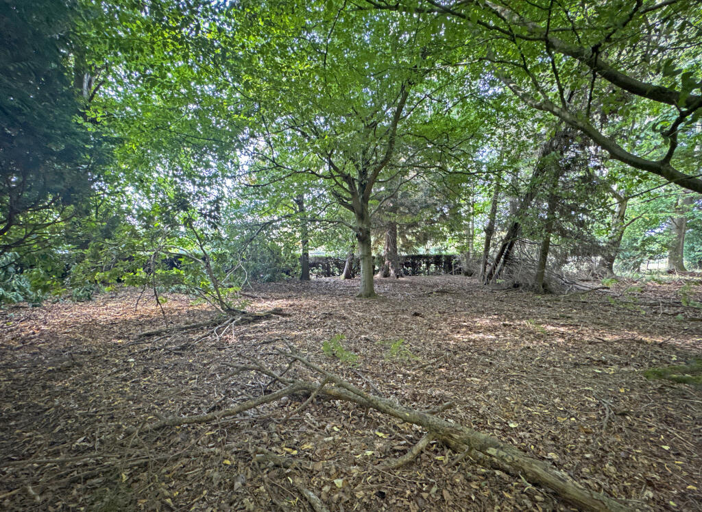 Woodland