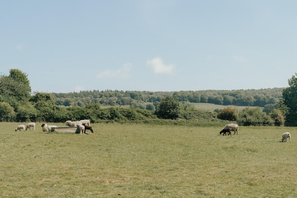 286615 - CHARING-PALACE-EDIT2-125.jpg