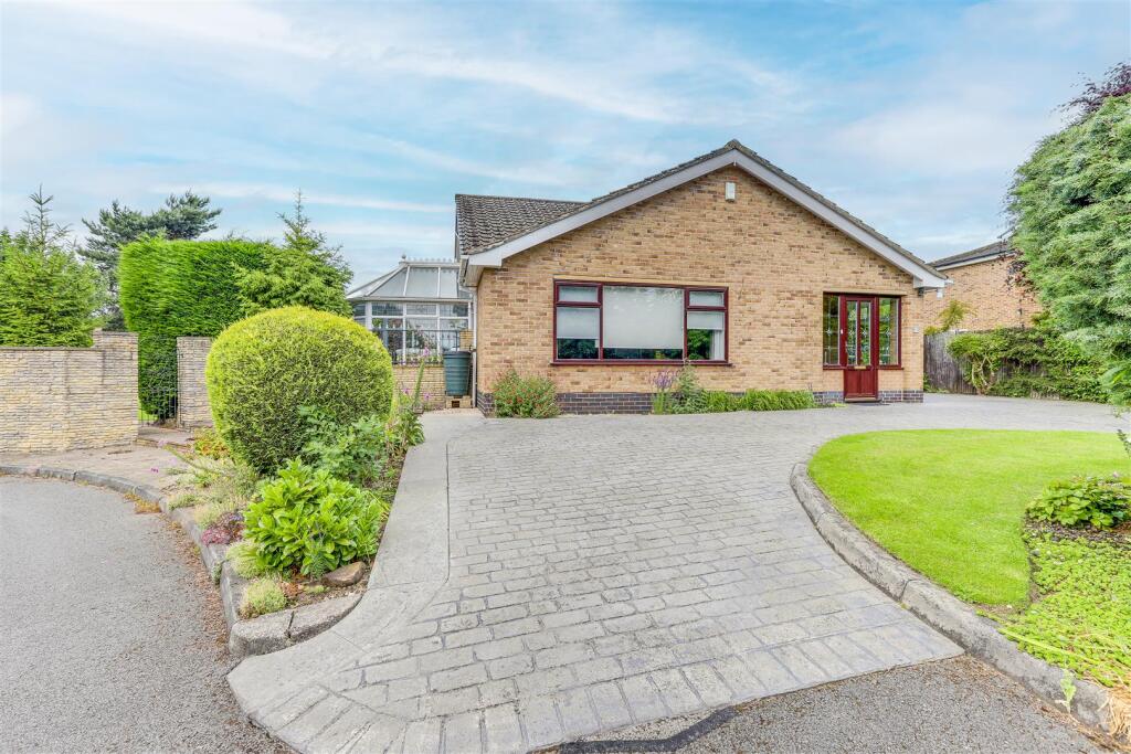 IMG_5021-IMG_5025 copy.jpg