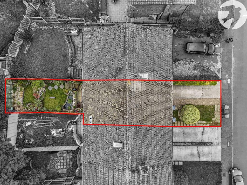 Plot View