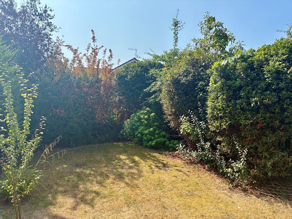 Garden (3).JPEG