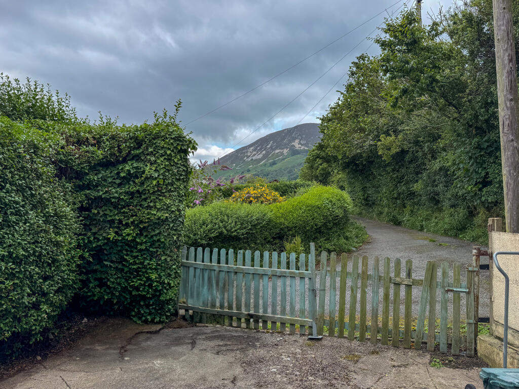 GILFACHROAD-01 T202506301957.jpg