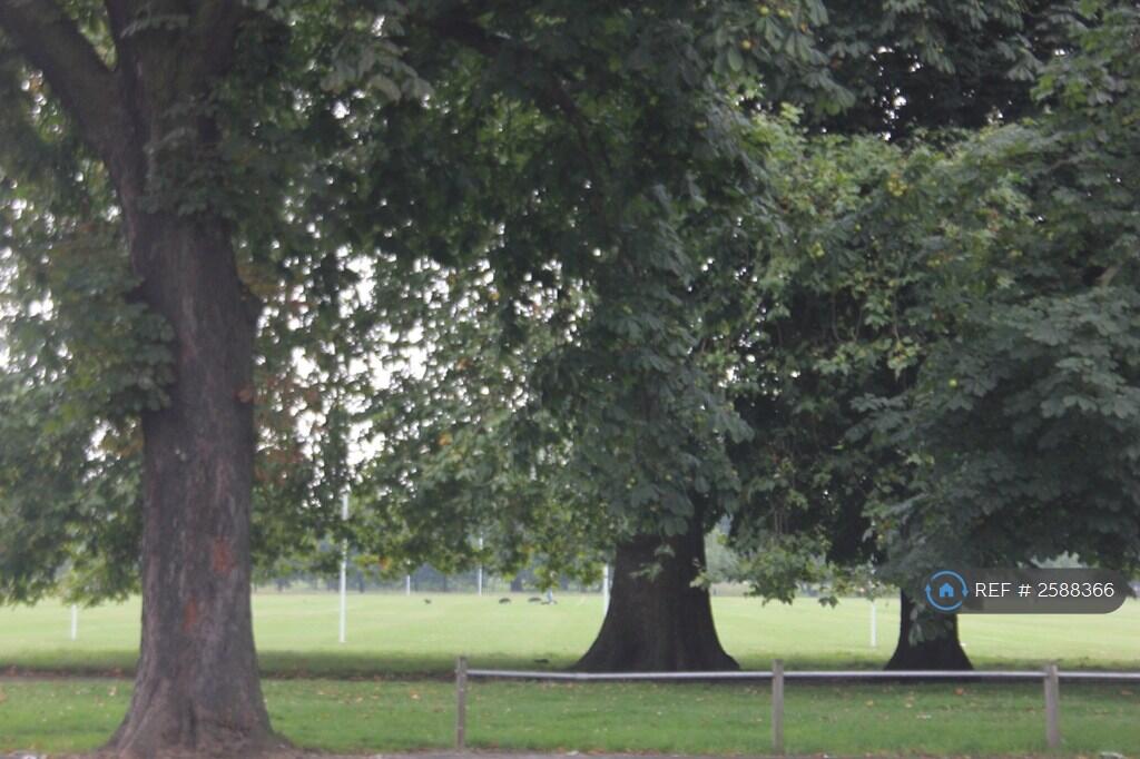 Clapham Common