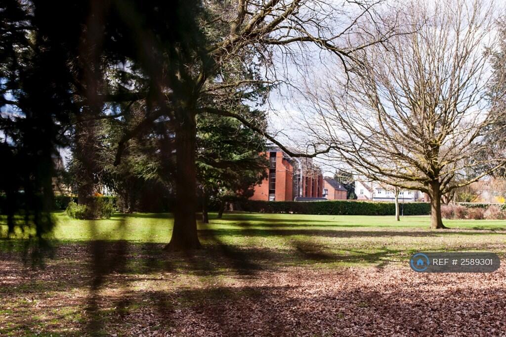 Overlooking Lascelles Park