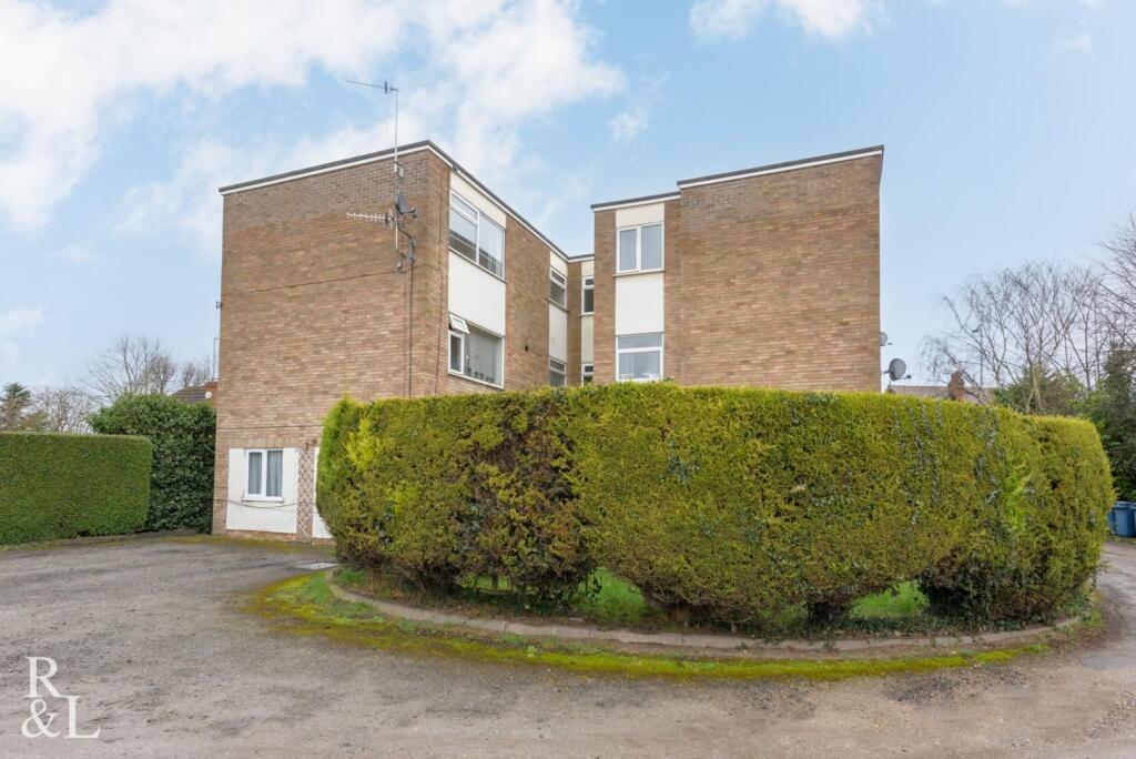 springfields (7).jpg