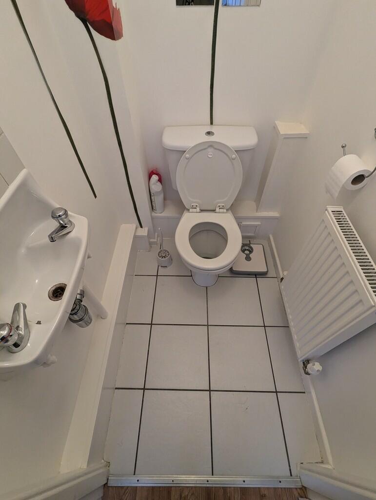 PXL_20241125_1123...