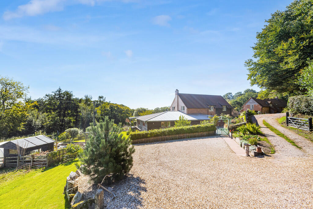 A16 - Cuckoo Down...