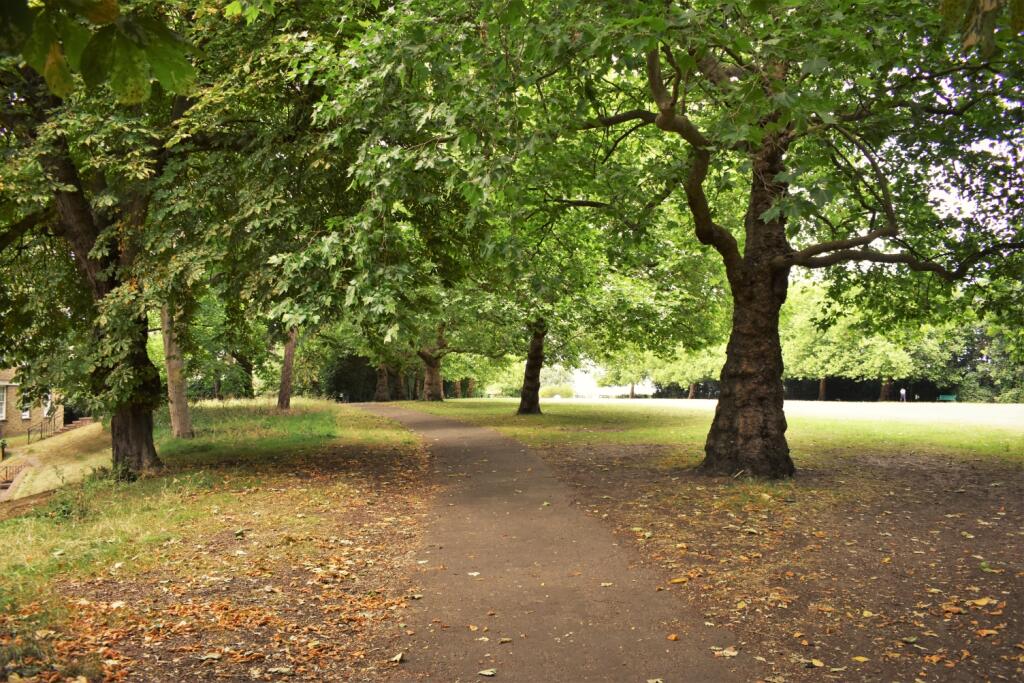 Park (1)