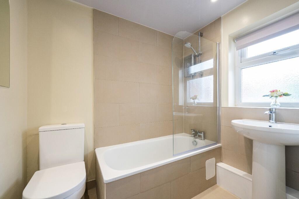 11_16667865826081.jp