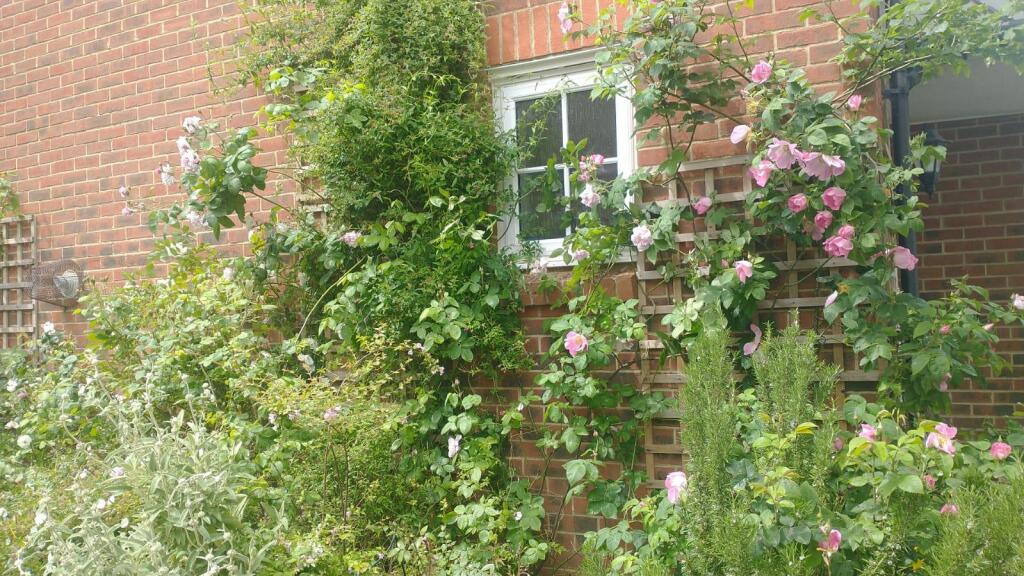 IMG-20250912-WA0006.jpg