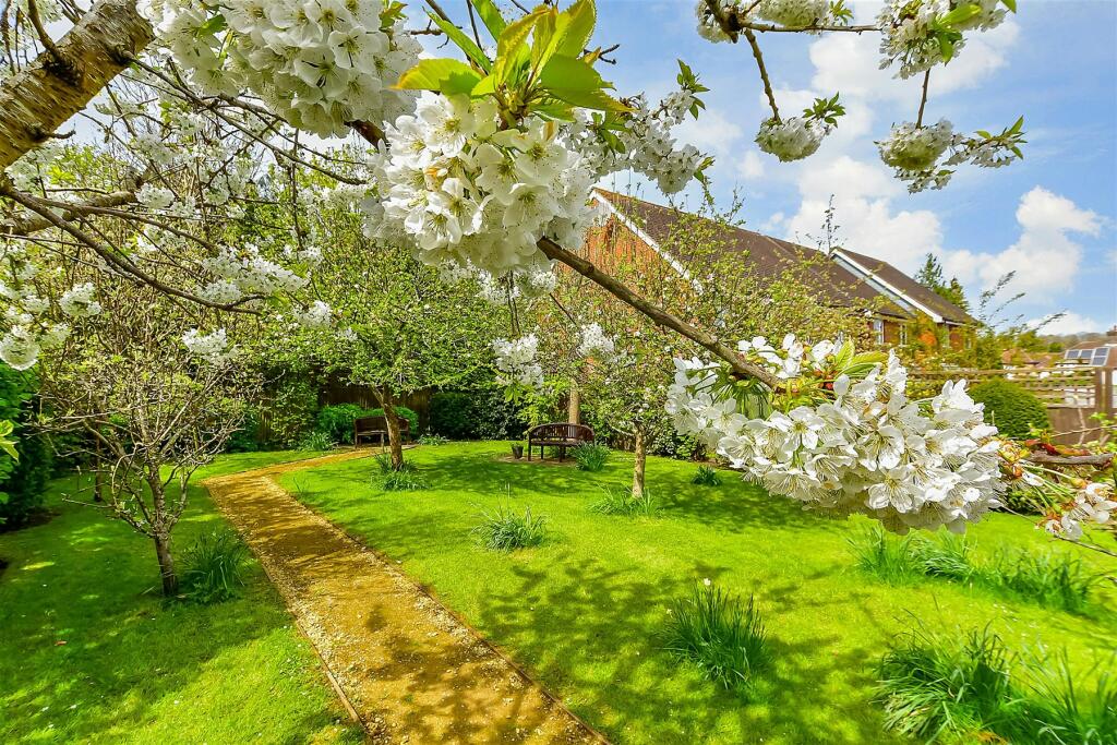 Communal Gardens