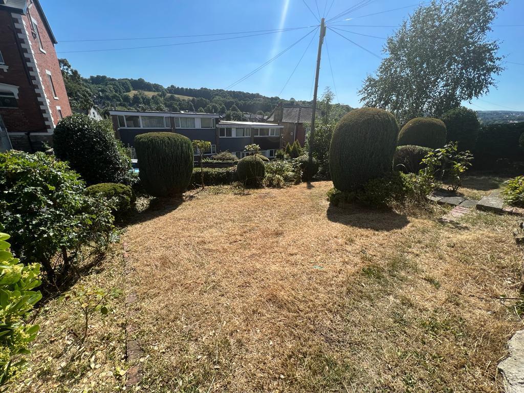 Front Garden.jpeg