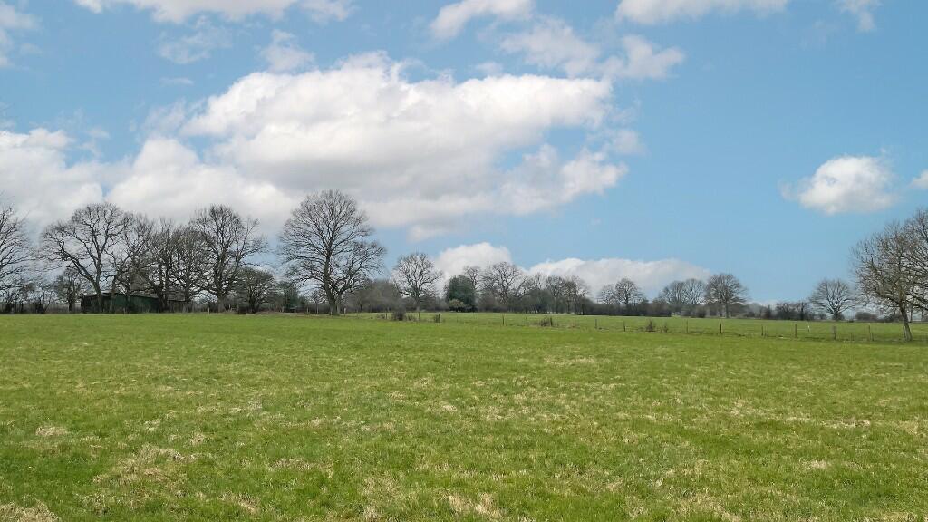 Flat grazing land.