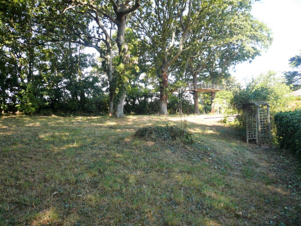 Side Garden
