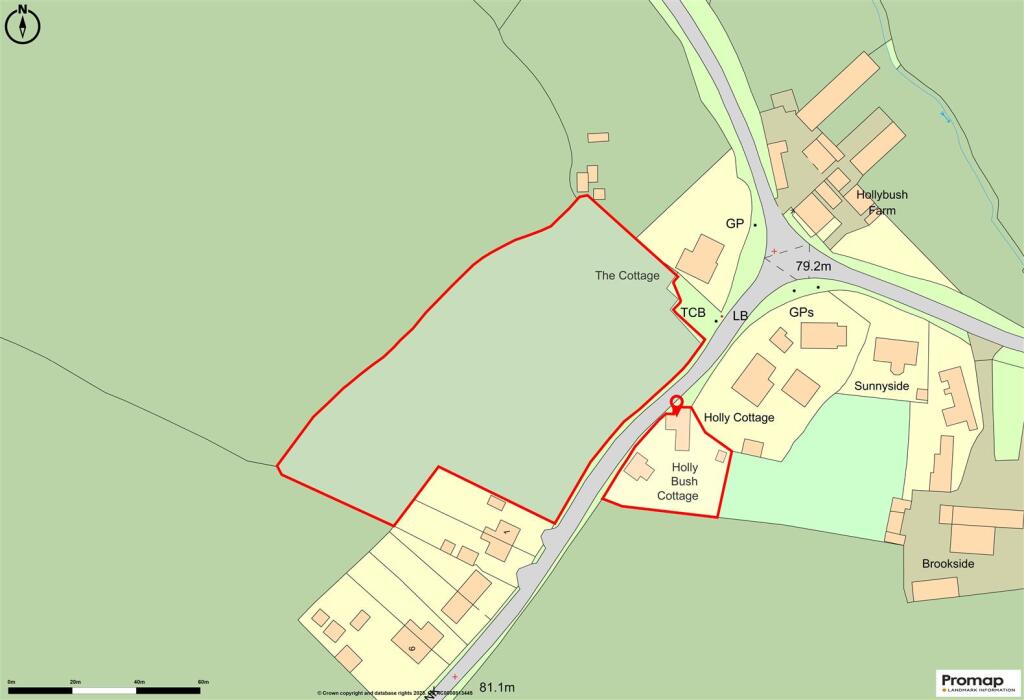 Promap-3127322-3224859-750-0.jpg