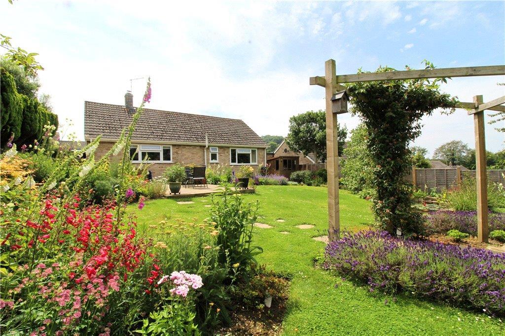 Garden in Summer