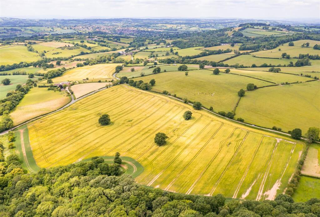 DJI_0697.jpg