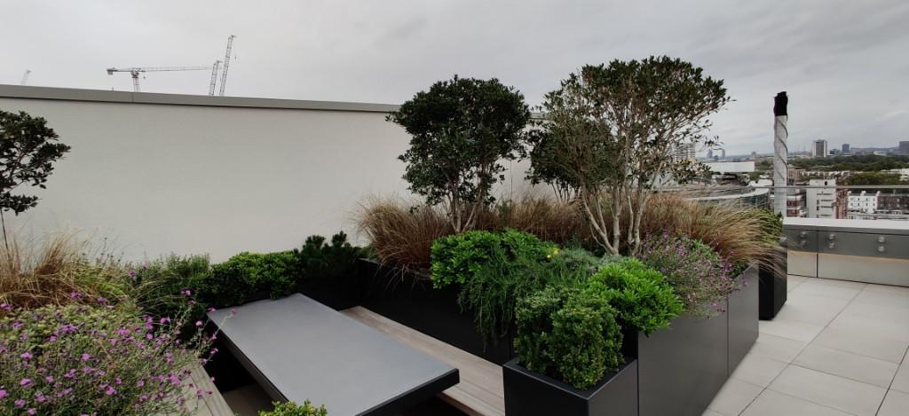 rooftop terrace