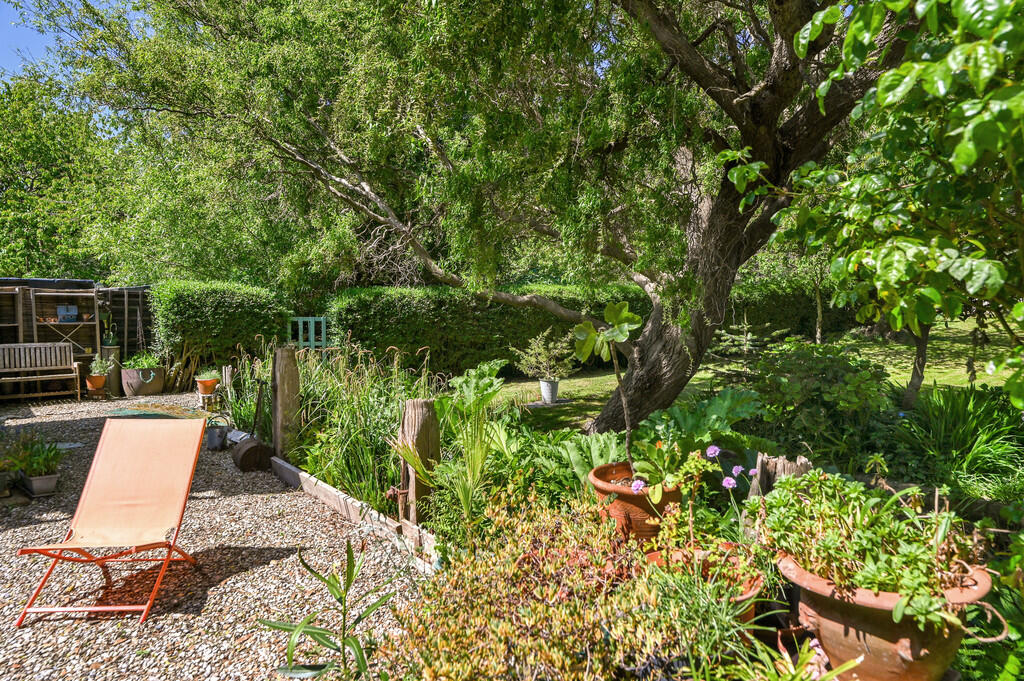 Tawny Pipits tn35...