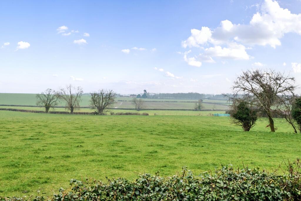 Rear Garden and View