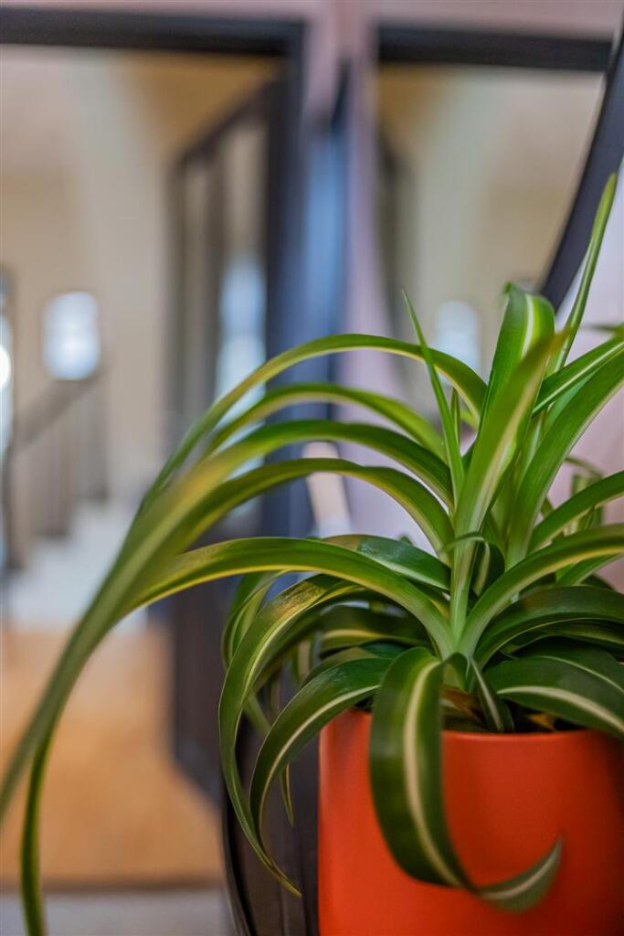 Keppoch Street 157-21.jpg