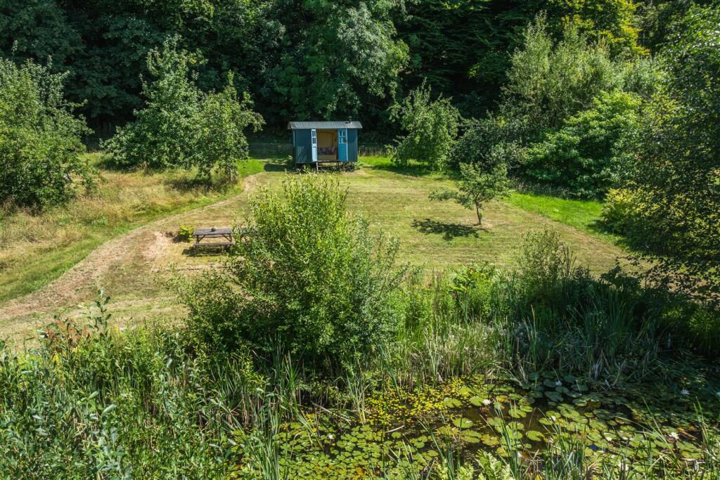 Pond