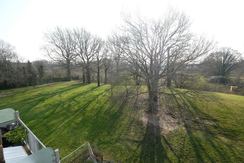 COMMUNAL GARDEN 