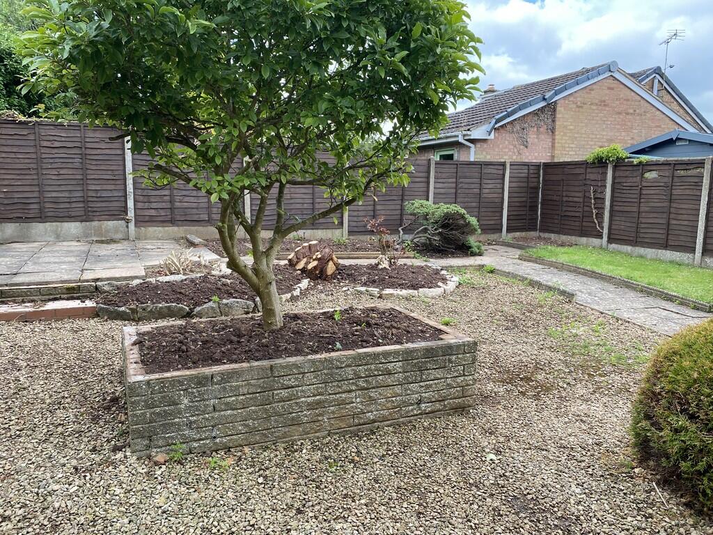 image00006