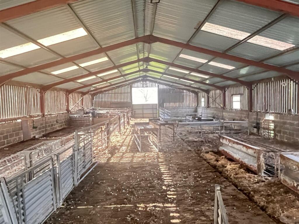 SHEEP SHED
