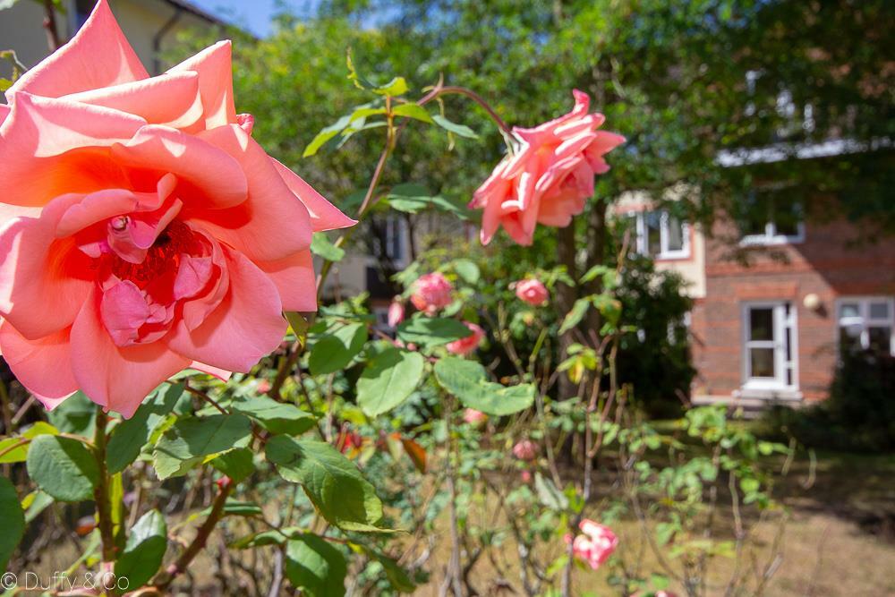 Residents Gardens