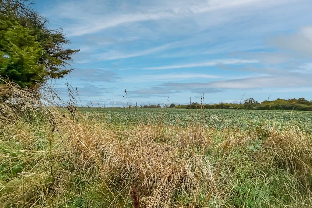 Fields