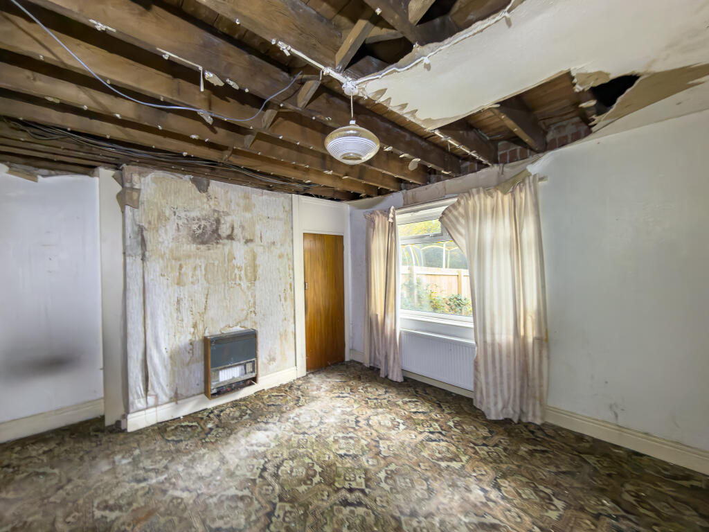 IMG 7056 4 T202511050959.jpg