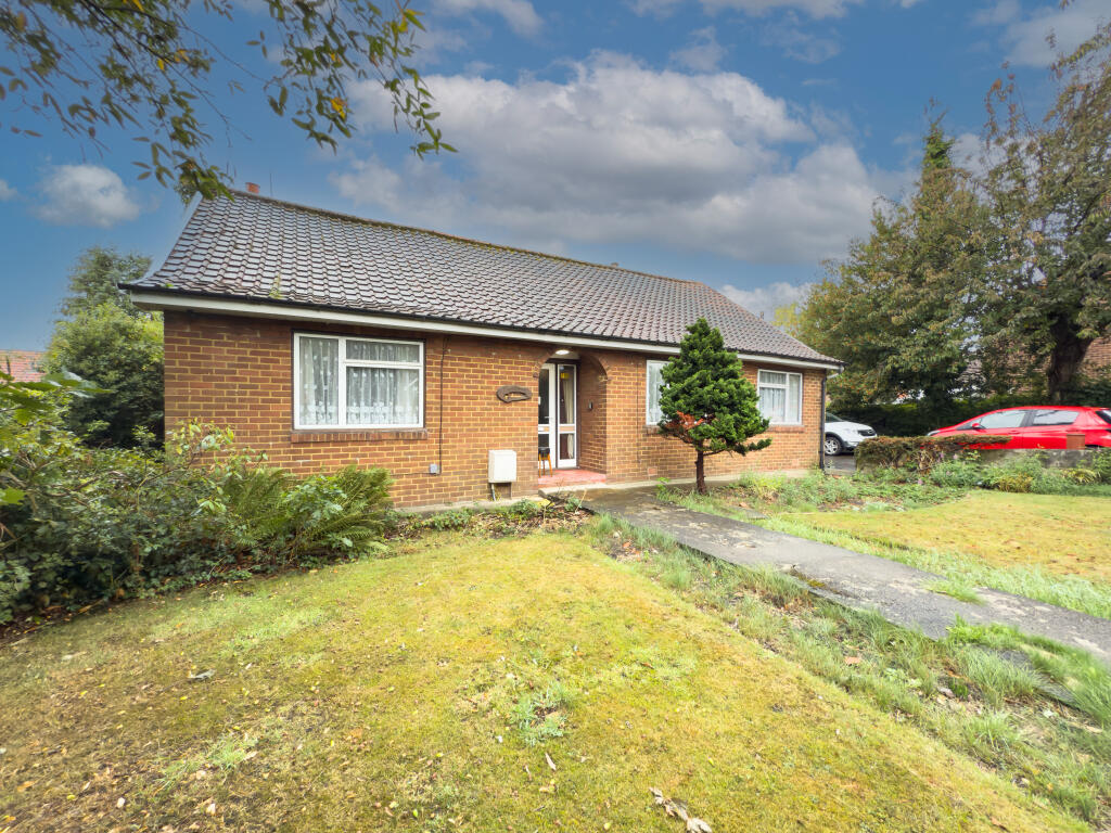 IMG 4170 T202509171429.jpg