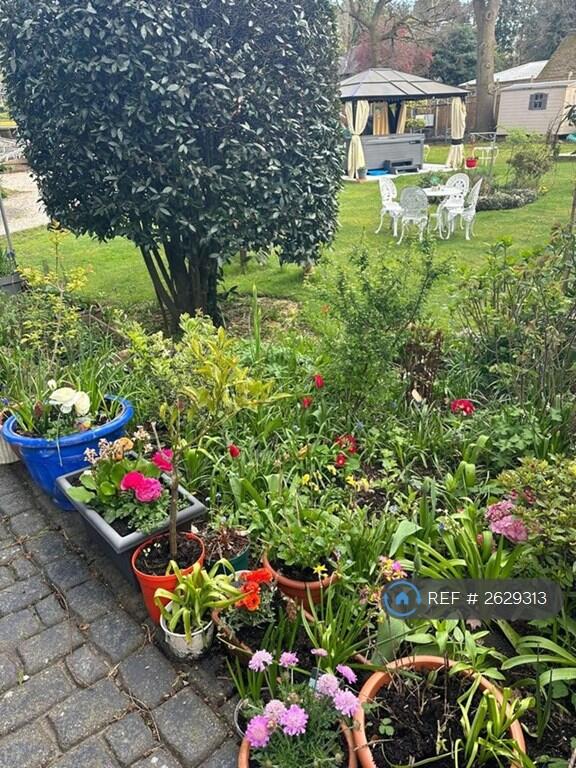 Potted Flower Displays