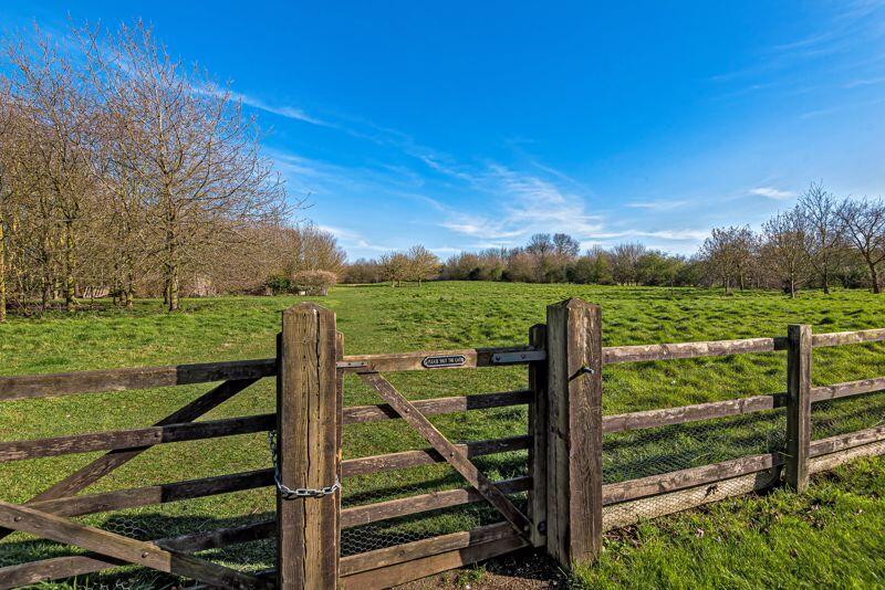 Countryside view