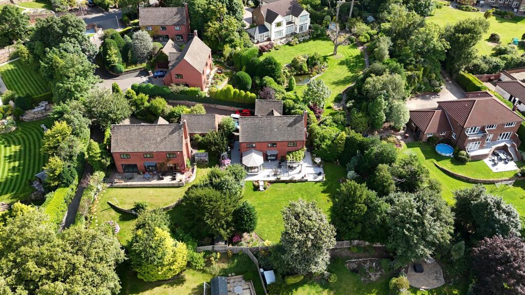 dji_fly_20240726_094736_0438_1722007228988_photo.j